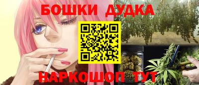 индика Гусь-Хрустальный