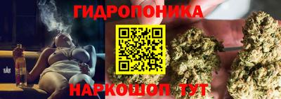 индика Гусь-Хрустальный
