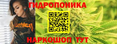 индика Гусь-Хрустальный